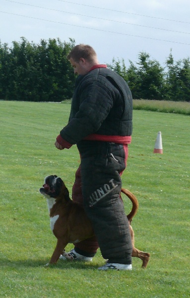 Dressage